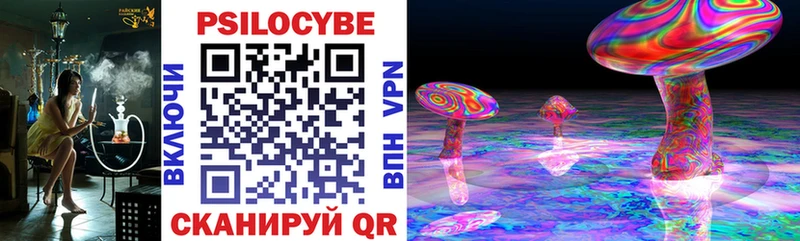 Псилоцибиновые грибы Psilocybe  OMG маркетплейс  Александровск 